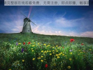 野花高清完整版在线观看免费，无需注册，即点即播，畅享高清画质