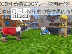 美国 ZOOM 动物 ZOOM，一款创新的动物观察应用，带你探索动物世界的奇妙之处