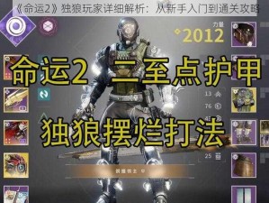 《命运2》独狼玩家详细解析：从新手入门到通关攻略