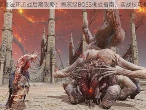 艾尔登法环近战后期攻略：骨灰级BOSS挑战指南，实战技巧揭秘