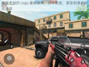 暴躁老姐的 csgo 最新版本，公平竞技，紧张刺激的枪战体验