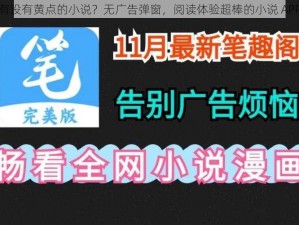 有没有黄点的小说？无广告弹窗，阅读体验超棒的小说 APP