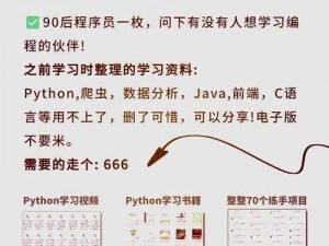 python 人狗大战如何加护甲——游戏攻略：提升角色防御的技巧