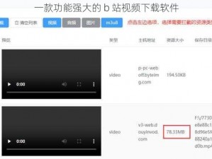 一款功能强大的 b 站视频下载软件