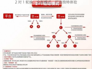 2 对 1 轮换：全新模式，打造独特体验