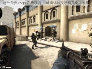 老外免费 csgo 在线观看——畅爽体验反恐精英全球攻势