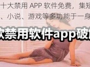 最新夜里十大禁用 APP 软件免费，集短视频、社交、小说、游戏等多功能于一身的娱乐神器