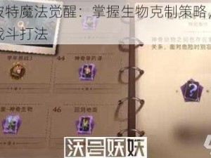 哈利波特魔法觉醒：掌握生物克制策略，打造无敌战斗打法