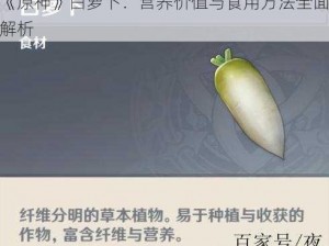 《原神》白萝卜：营养价值与食用方法全面解析