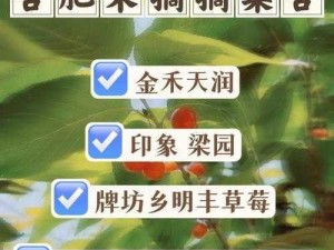 《小森生活攻略：樱桃采摘方法与获取途径详解》