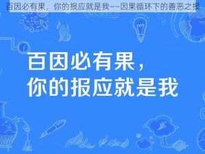 百因必有果，你的报应就是我——因果循环下的善恶之报