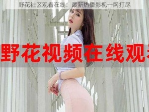 野花社区观看在线：最新热播影视一网打尽