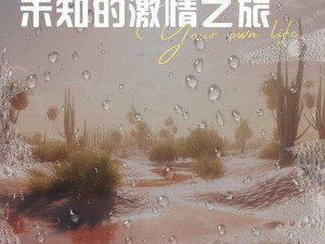 23 部人禽伦交：探索未知的激情之旅