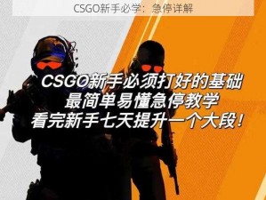 CSGO新手必学：急停详解