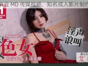 国产麻豆 MD 传媒视频，知名成人影片制作团队