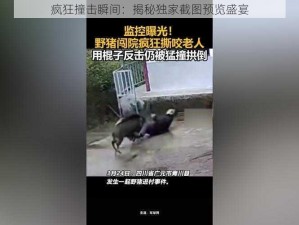 疯狂撞击瞬间：揭秘独家截图预览盛宴