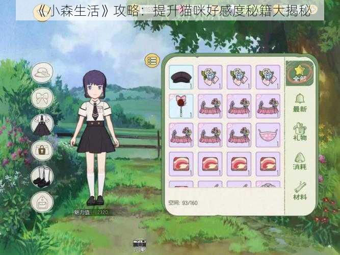 《小森生活》攻略：提升猫咪好感度秘籍大揭秘
