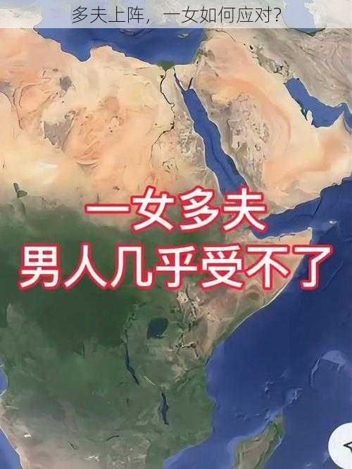 多夫上阵，一女如何应对？