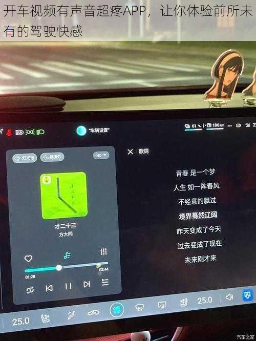 开车视频有声音超疼APP，让你体验前所未有的驾驶快感