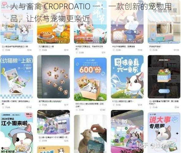 人与畜禽 CROPROATIO 一：一款创新的宠物用品，让你与宠物更亲近