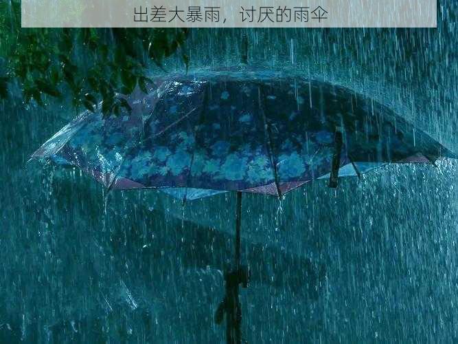 出差大暴雨，讨厌的雨伞