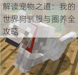 解读宠物之道：我的世界狗驯服与圈养全攻略