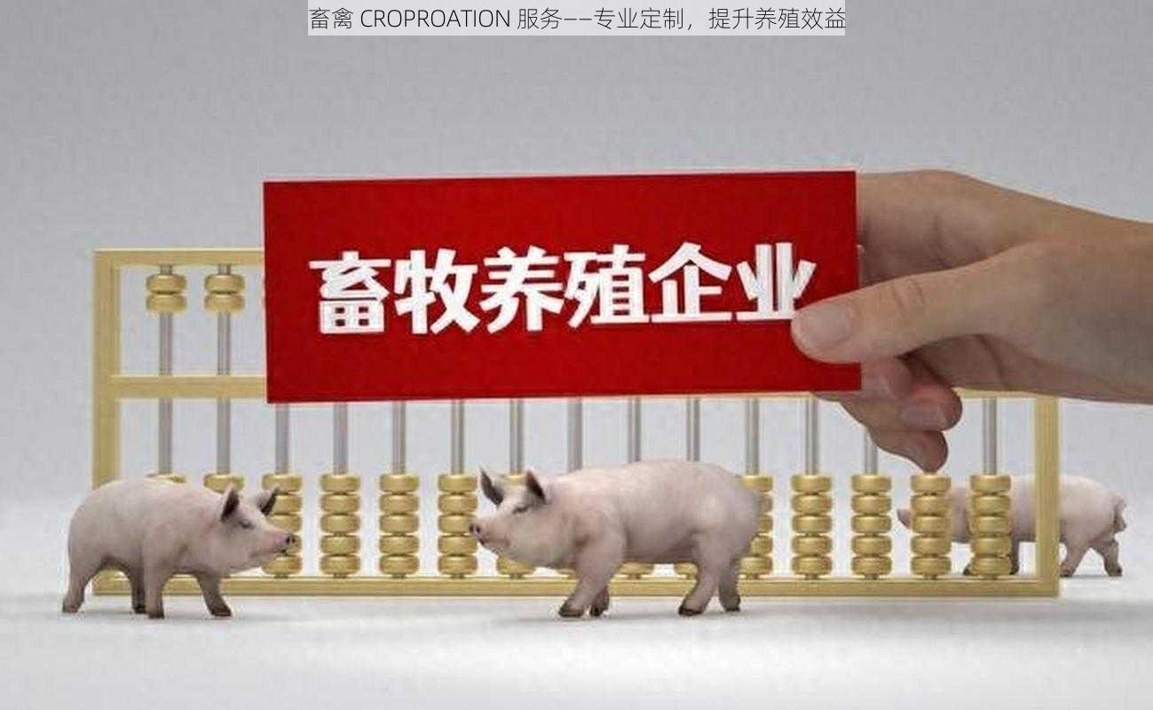 畜禽 CROPROATION 服务——专业定制，提升养殖效益