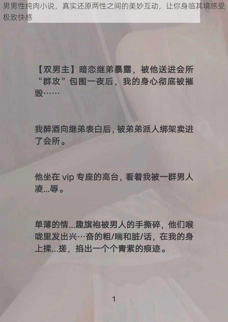 男男性纯肉小说，真实还原两性之间的美妙互动，让你身临其境感受极致快感