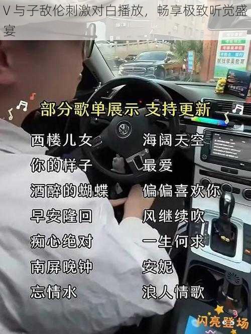 V 与子敌伦刺激对白播放，畅享极致听觉盛宴