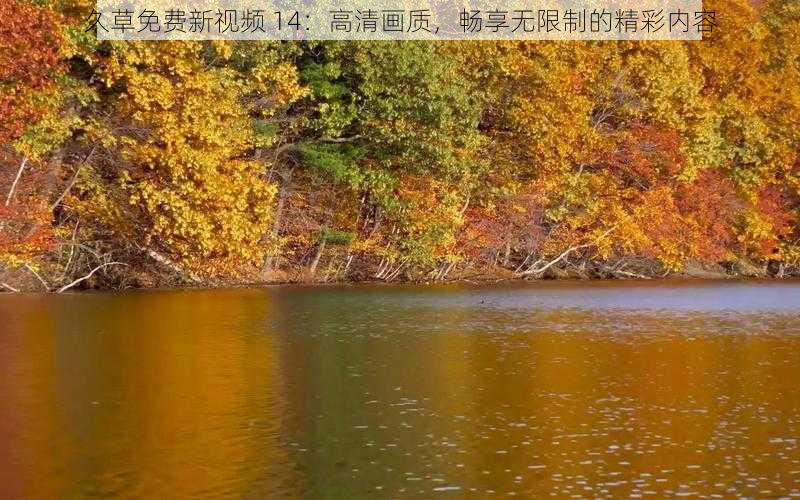 久草免费新视频 14：高清画质，畅享无限制的精彩内容