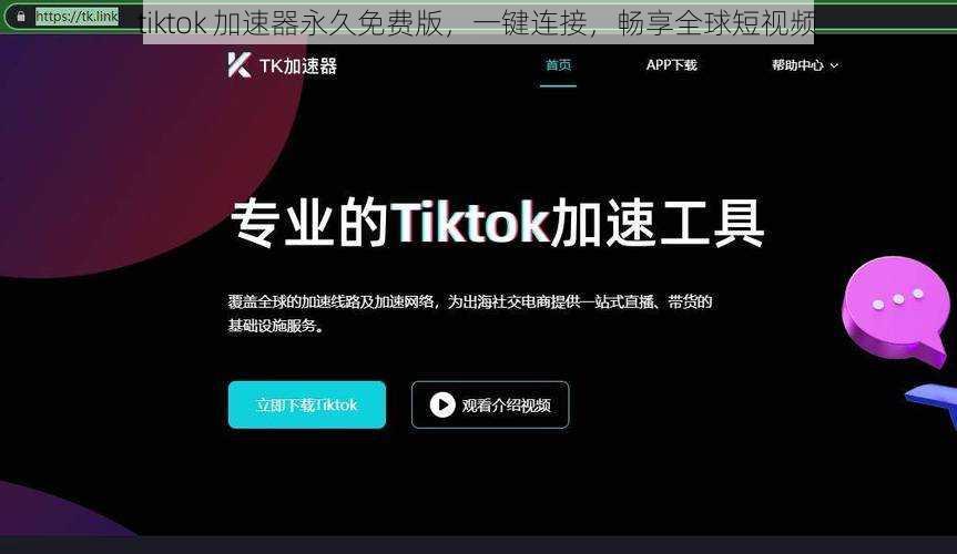 tiktok 加速器永久免费版，一键连接，畅享全球短视频