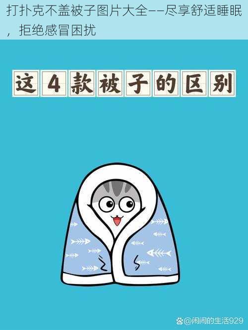 打扑克不盖被子图片大全——尽享舒适睡眠，拒绝感冒困扰