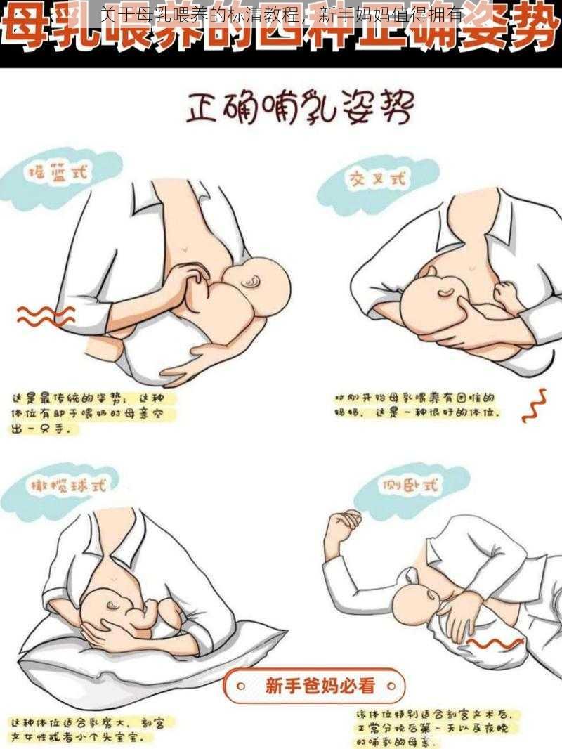 关于母乳喂养的标清教程，新手妈妈值得拥有