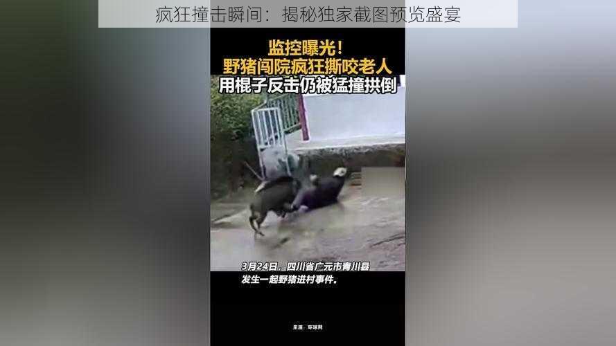 疯狂撞击瞬间：揭秘独家截图预览盛宴