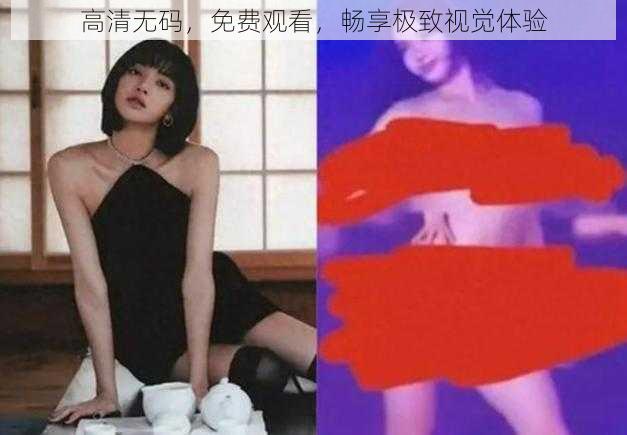 高清无码，免费观看，畅享极致视觉体验