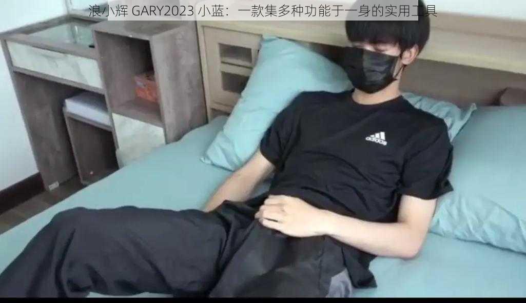 浪小辉 GARY2023 小蓝：一款集多种功能于一身的实用工具