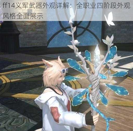 ff14义军武器外观详解：全职业四阶段外观风格全面展示