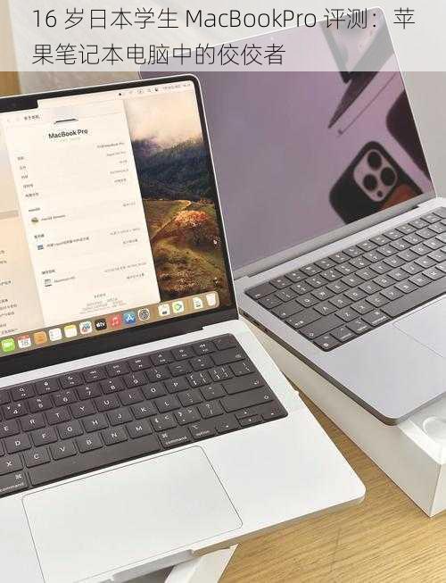 16 岁日本学生 MacBookPro 评测：苹果笔记本电脑中的佼佼者