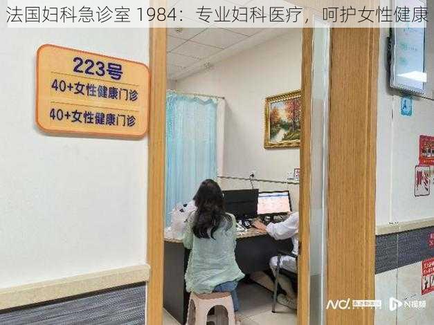 法国妇科急诊室 1984：专业妇科医疗，呵护女性健康