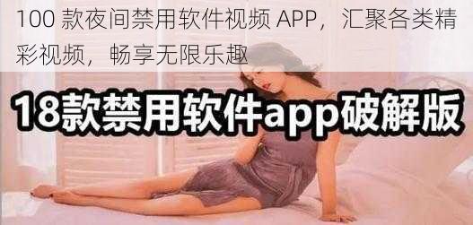 100 款夜间禁用软件视频 APP，汇聚各类精彩视频，畅享无限乐趣