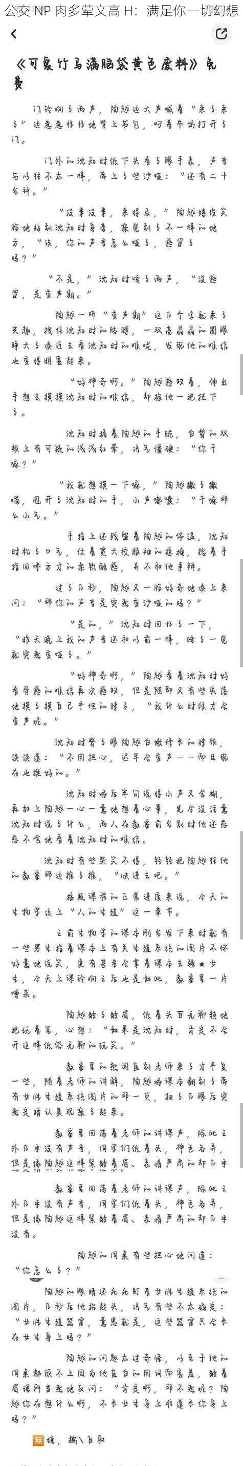 公交 NP 肉多荤文高 H：满足你一切幻想