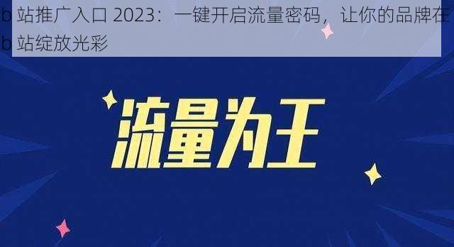 b 站推广入口 2023：一键开启流量密码，让你的品牌在 b 站绽放光彩