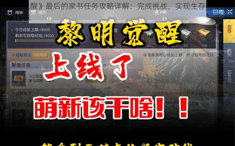 《黎明觉醒》最后的家书任务攻略详解：完成挑战，实现生存与传递的终极目标